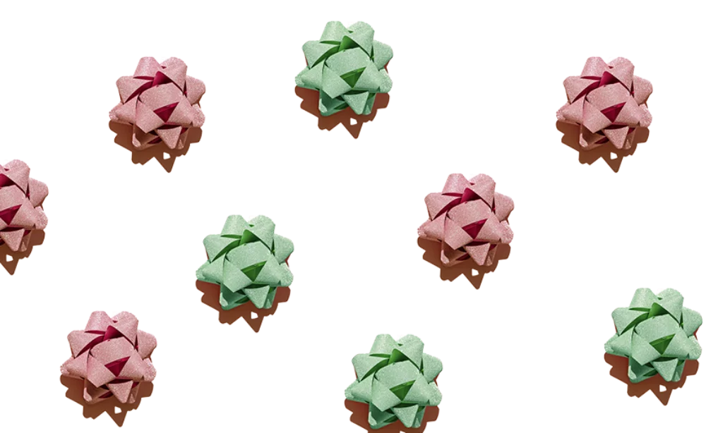 Visuelpromo chou seulement