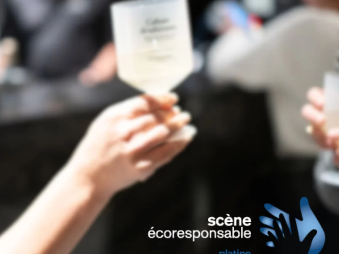 Blogue Ecoresponsable