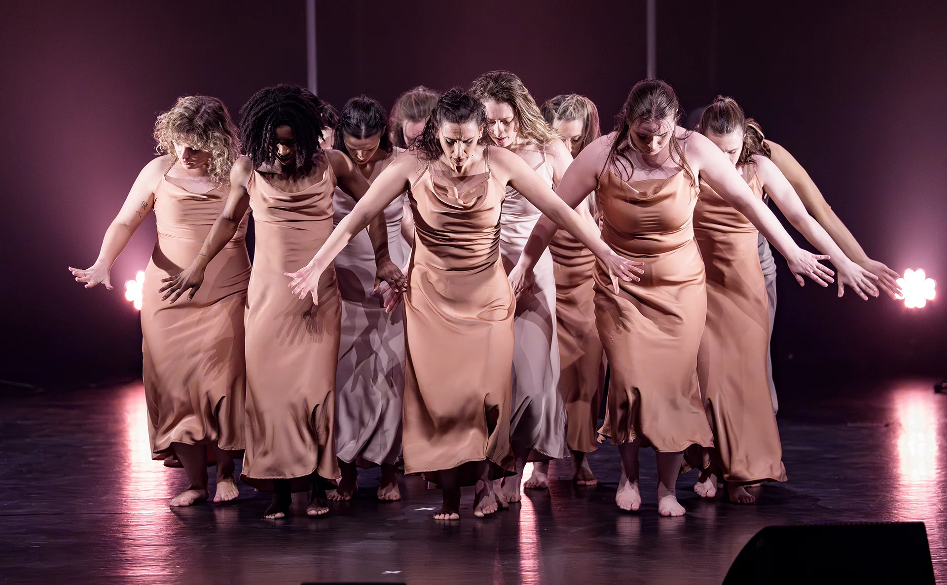 Saluthector 2 1920 1186